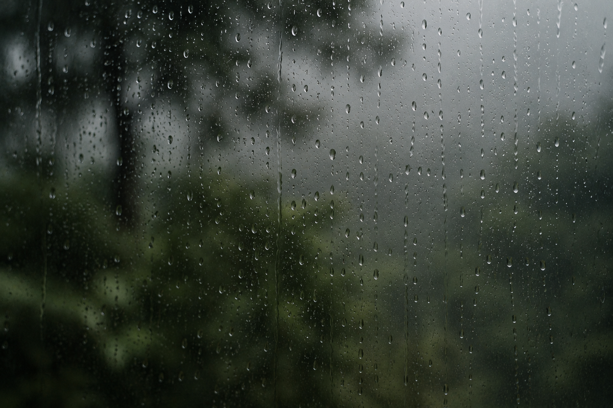雨水落在自然與日常環境中的聲音場景，呈現雨聲、環境聲與聽覺感受的五感識別概念